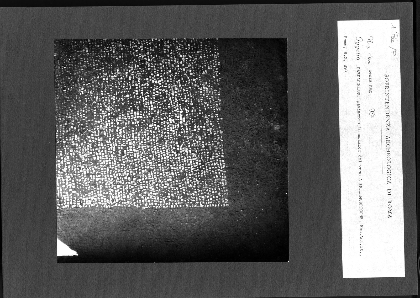 Pal- P001.tif