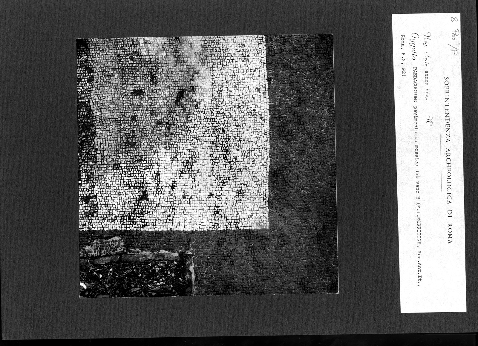 Pal- P008.tif