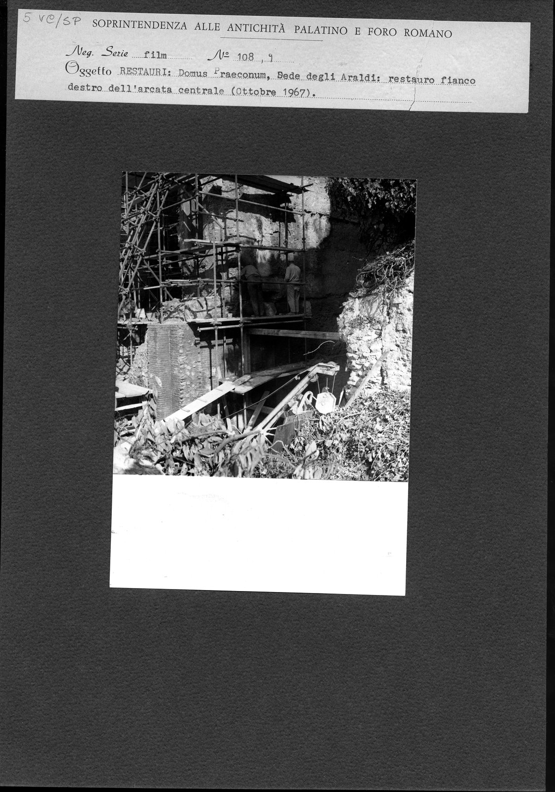 VC-SP005.tif