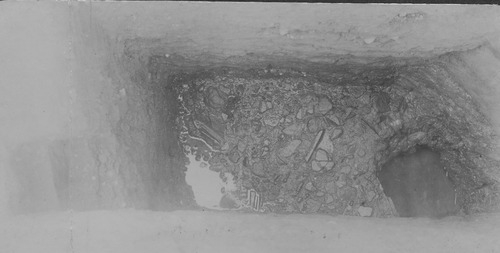  - Foro Romano. Area del Comizio-Niger Lapis. Scavi
