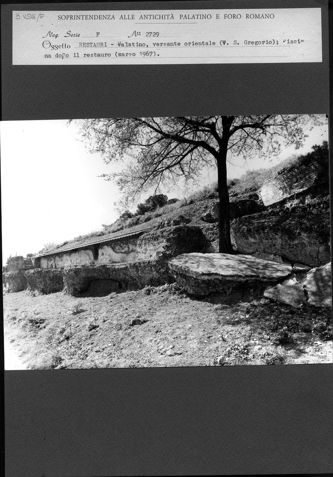 P003.tif