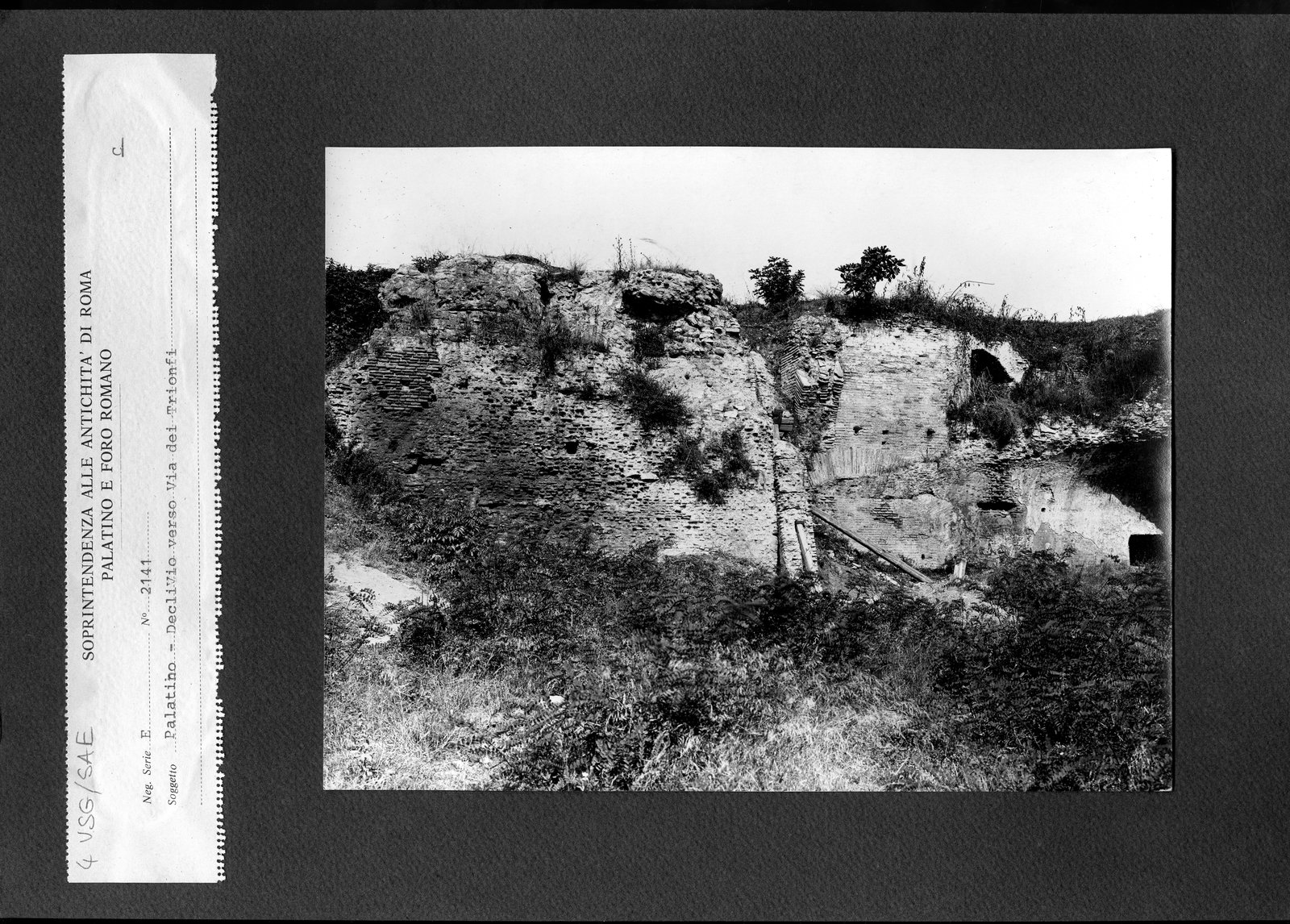 SAE004.tif