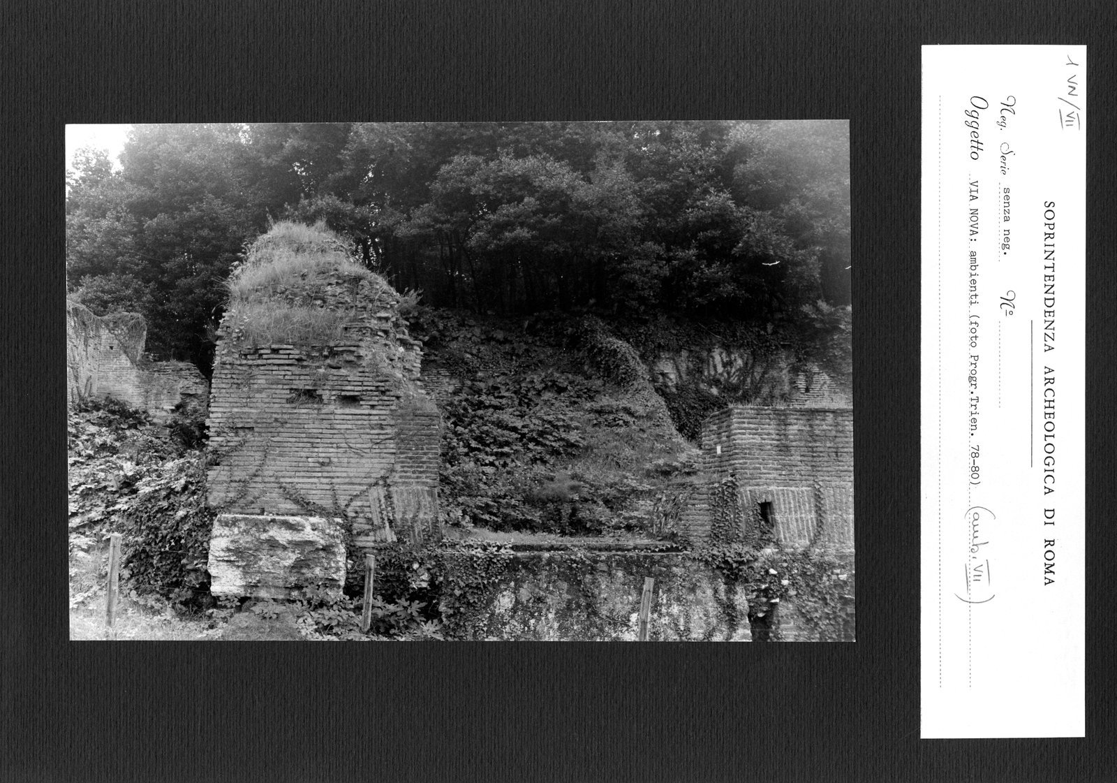 VN-VII001.tif