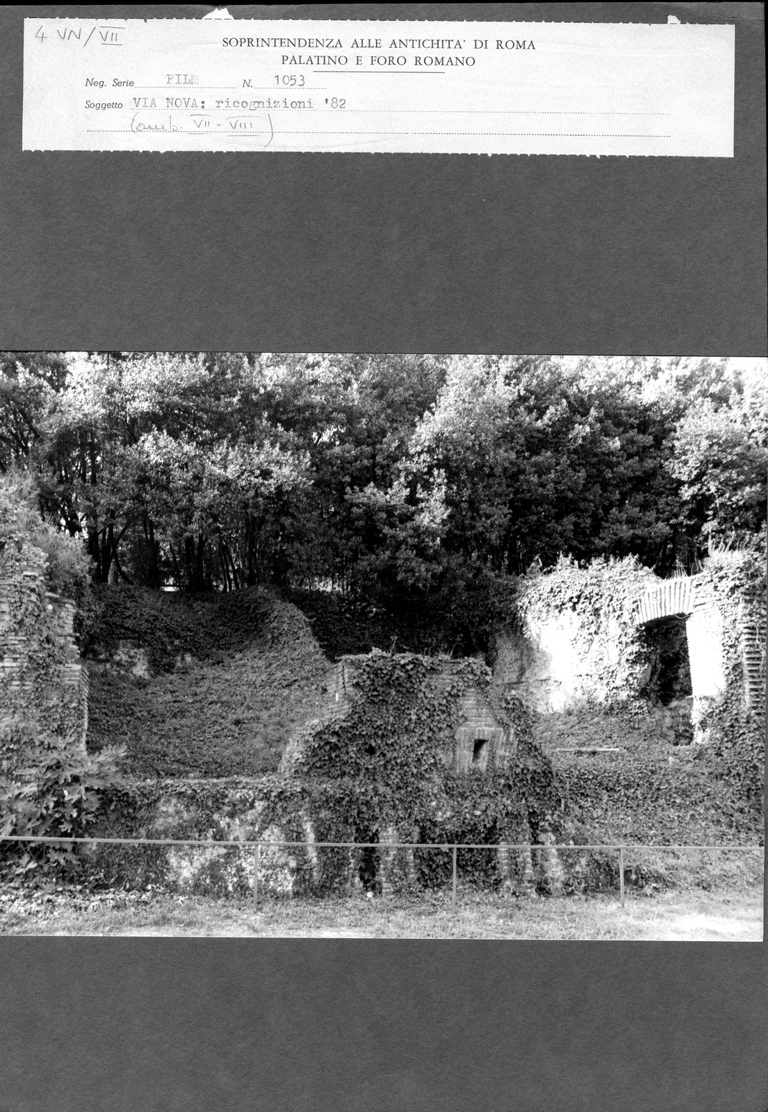 VN-VII004.tif