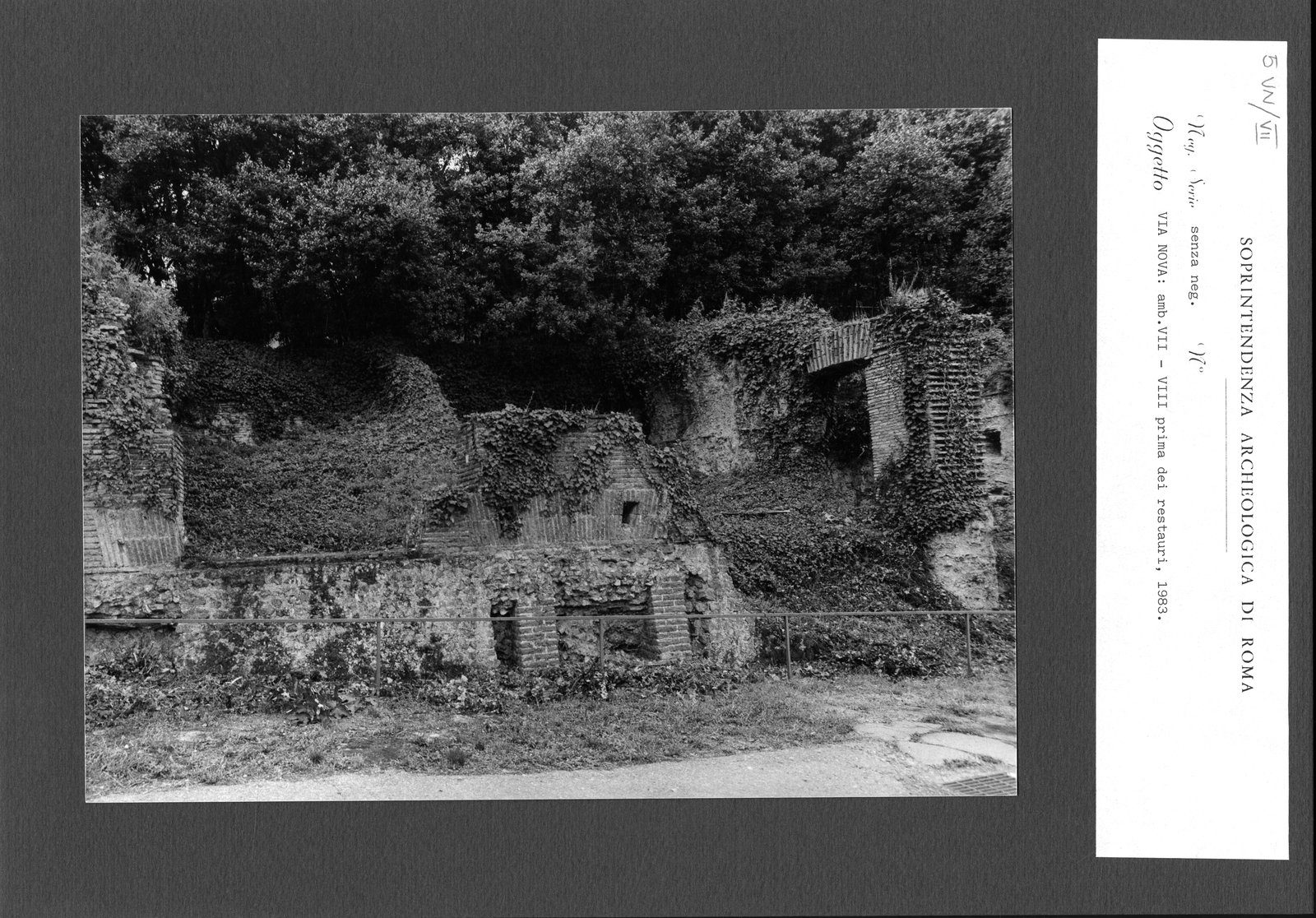 VN-VII005.tif