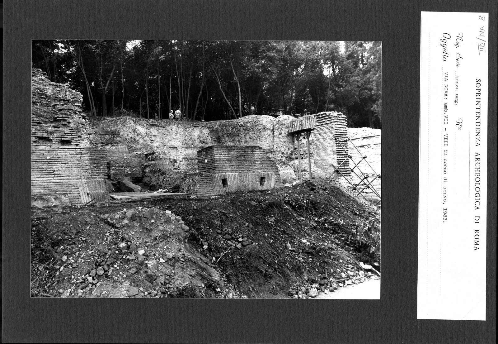 VN-VII008.tif