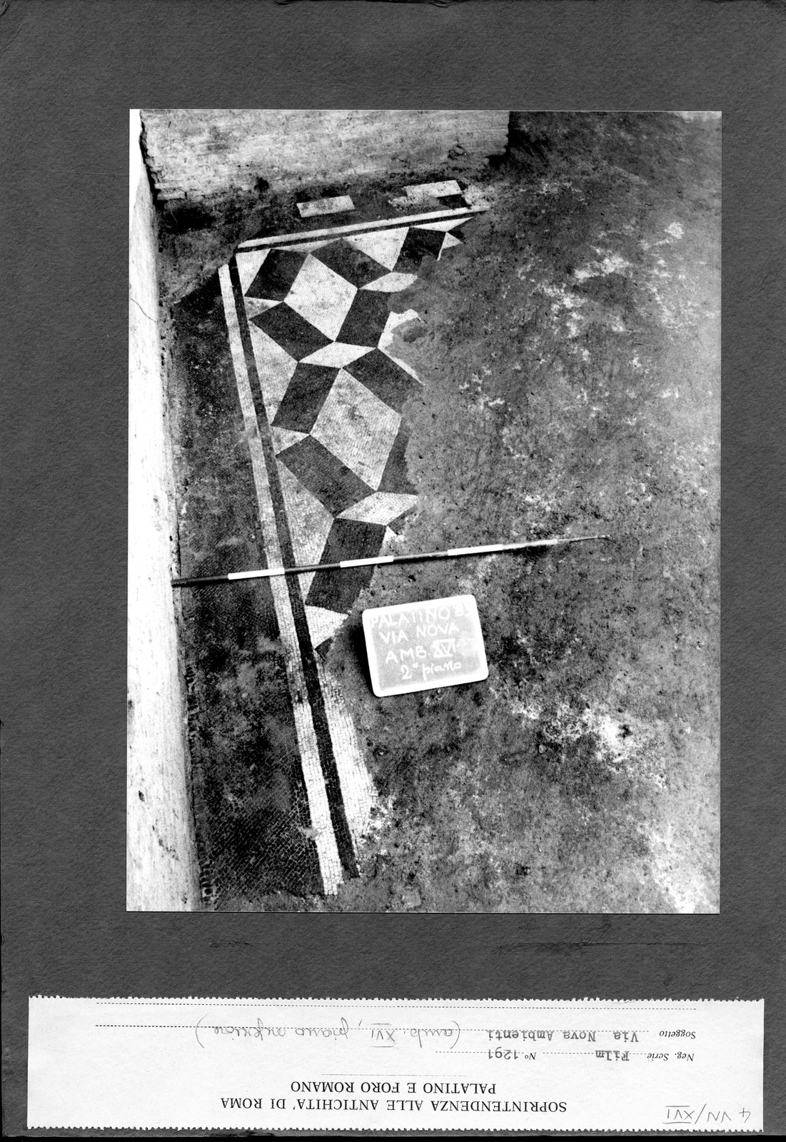 VN-XVI004.tif