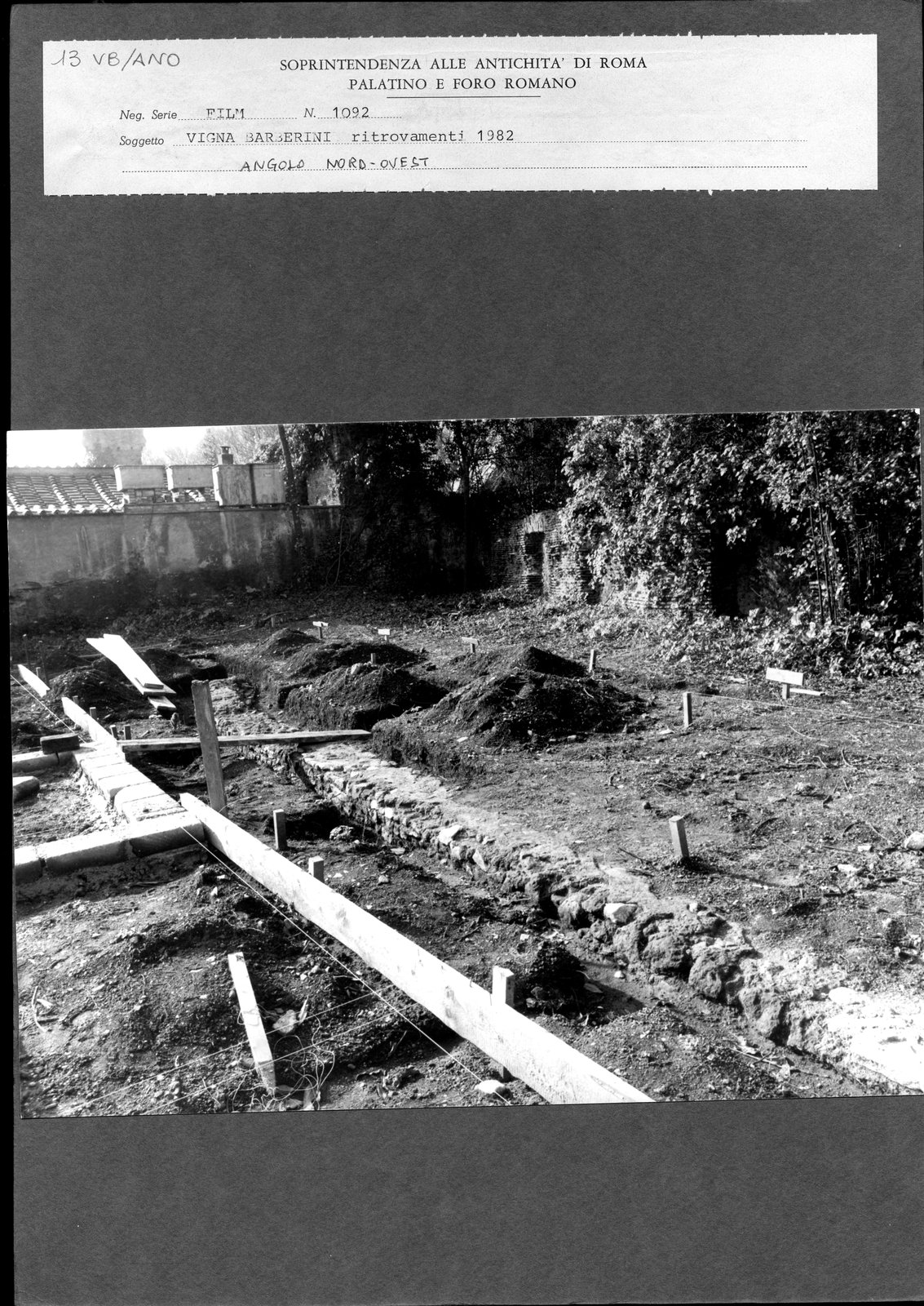 VB-ANO013.tif