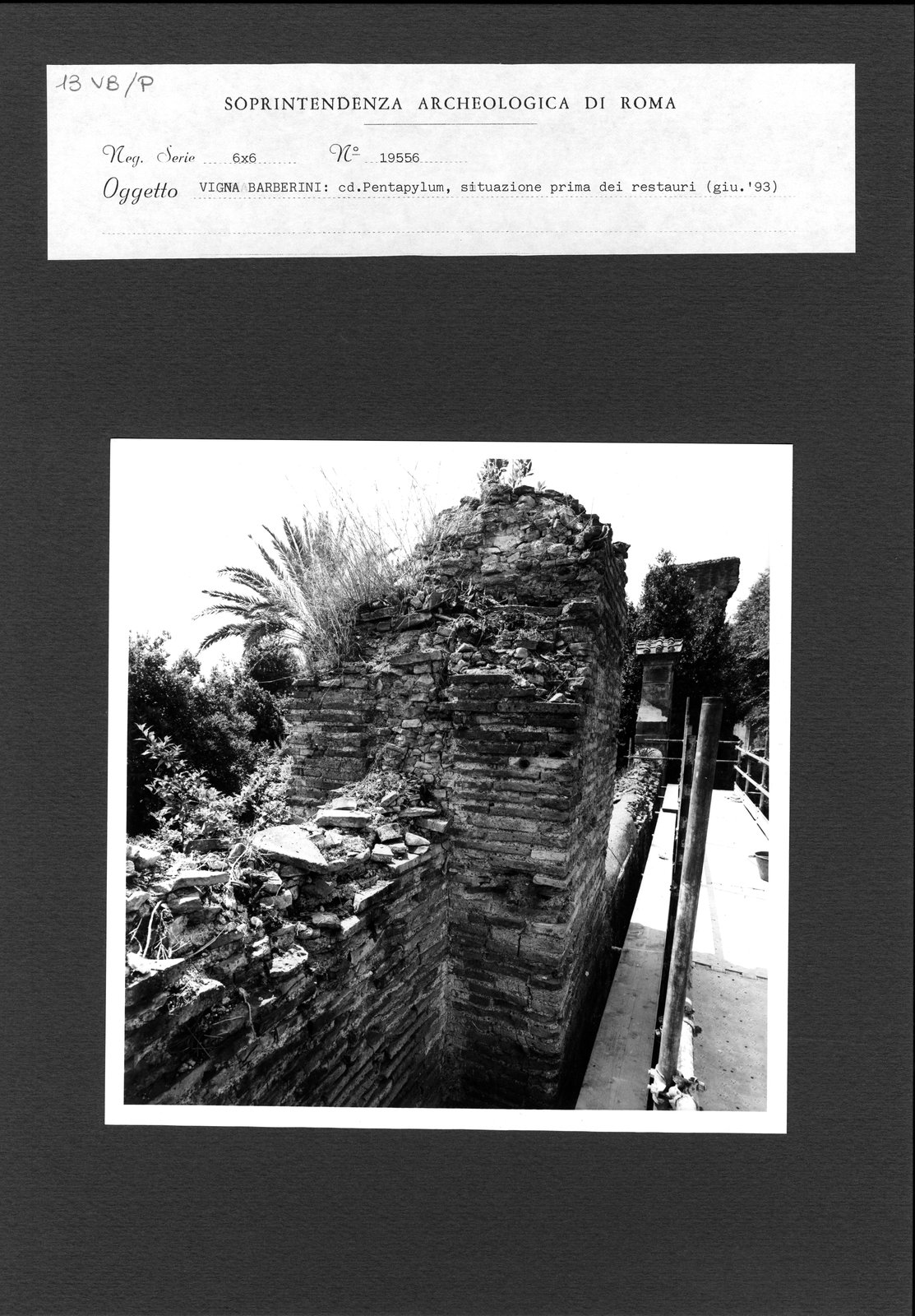 VB-P013.tif