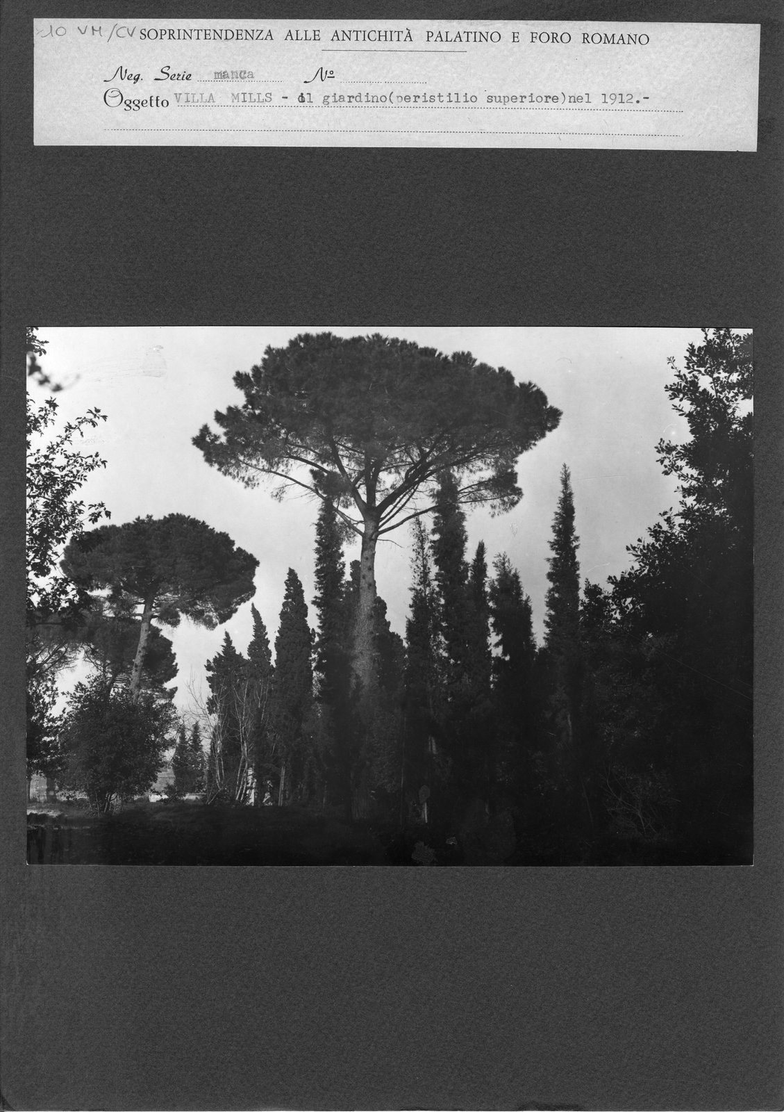 VM-CV 010.tif