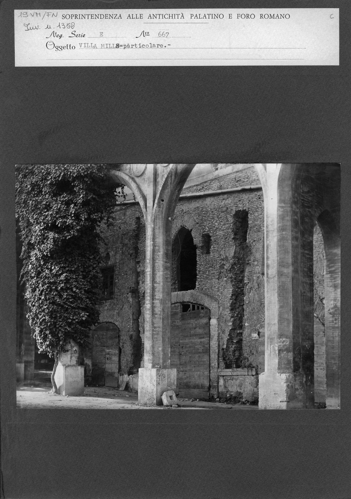 VM-FN 019.tif