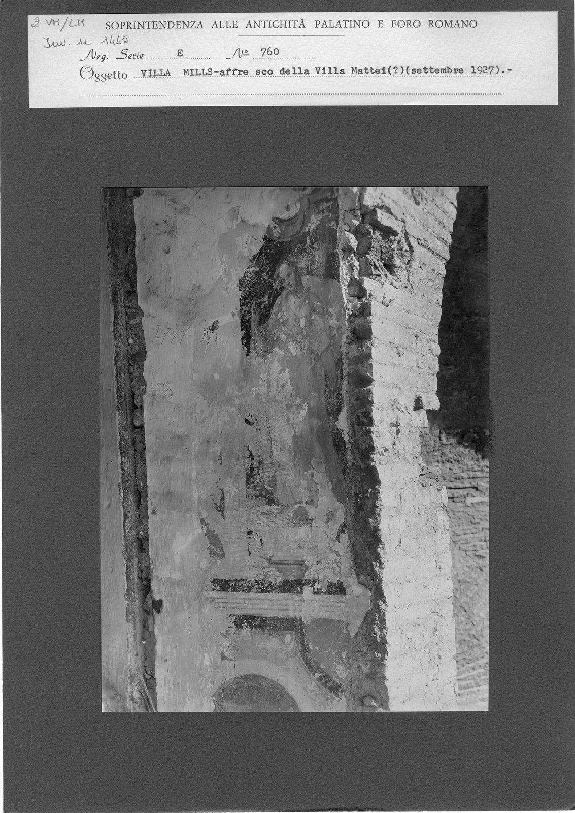 VM-LM 002.tif
