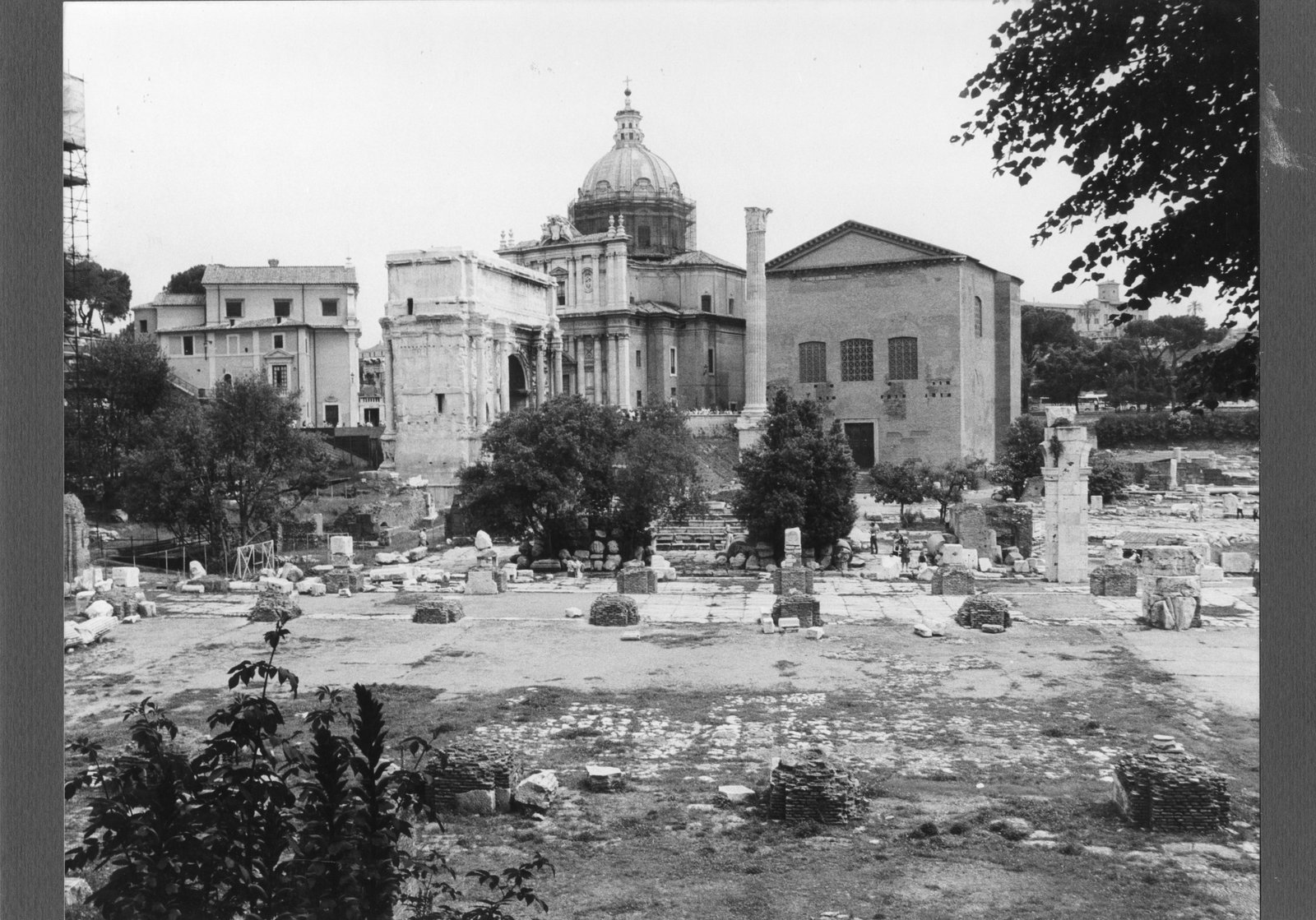 FR-VE 101_V.tif