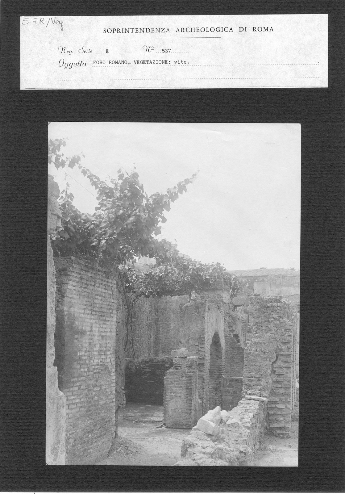 FR-Veg 005.tif