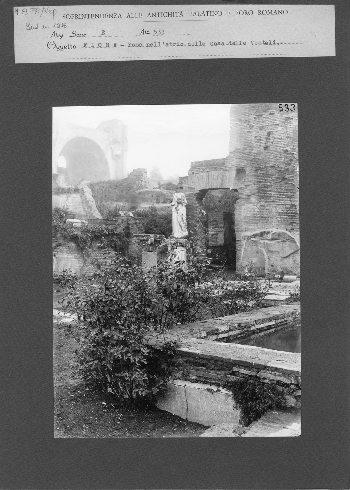 FR-Veg 009.tif