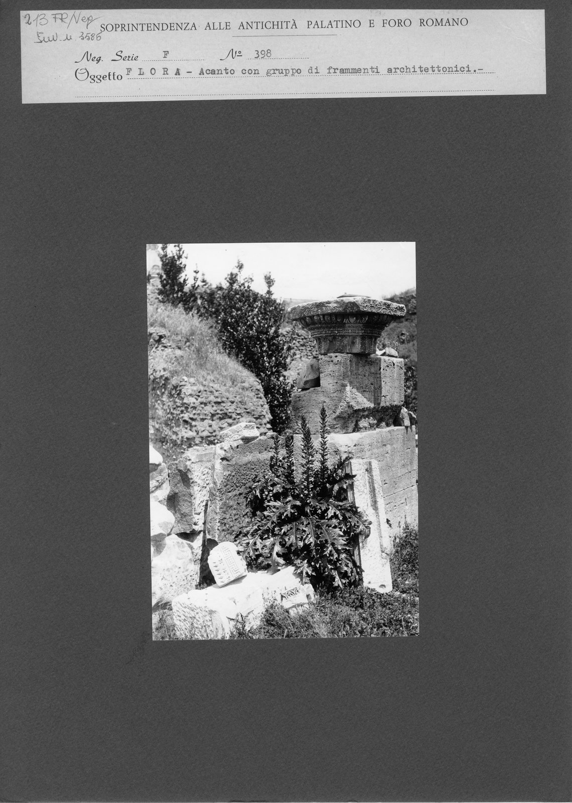 FR-Veg 013.tif