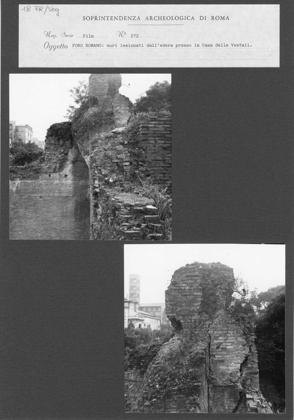 FR-Veg 018.tif
