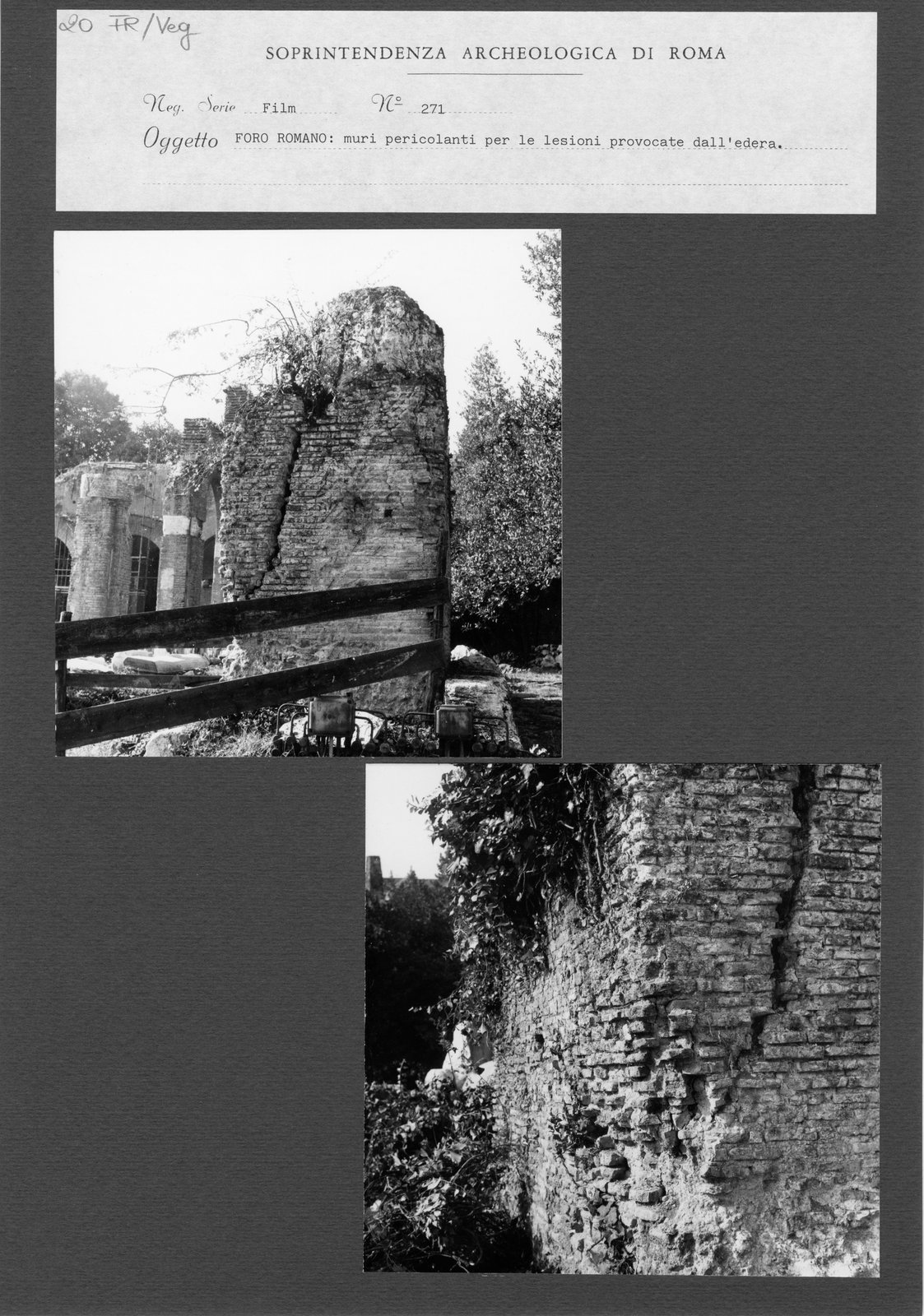 FR-Veg 020.tif