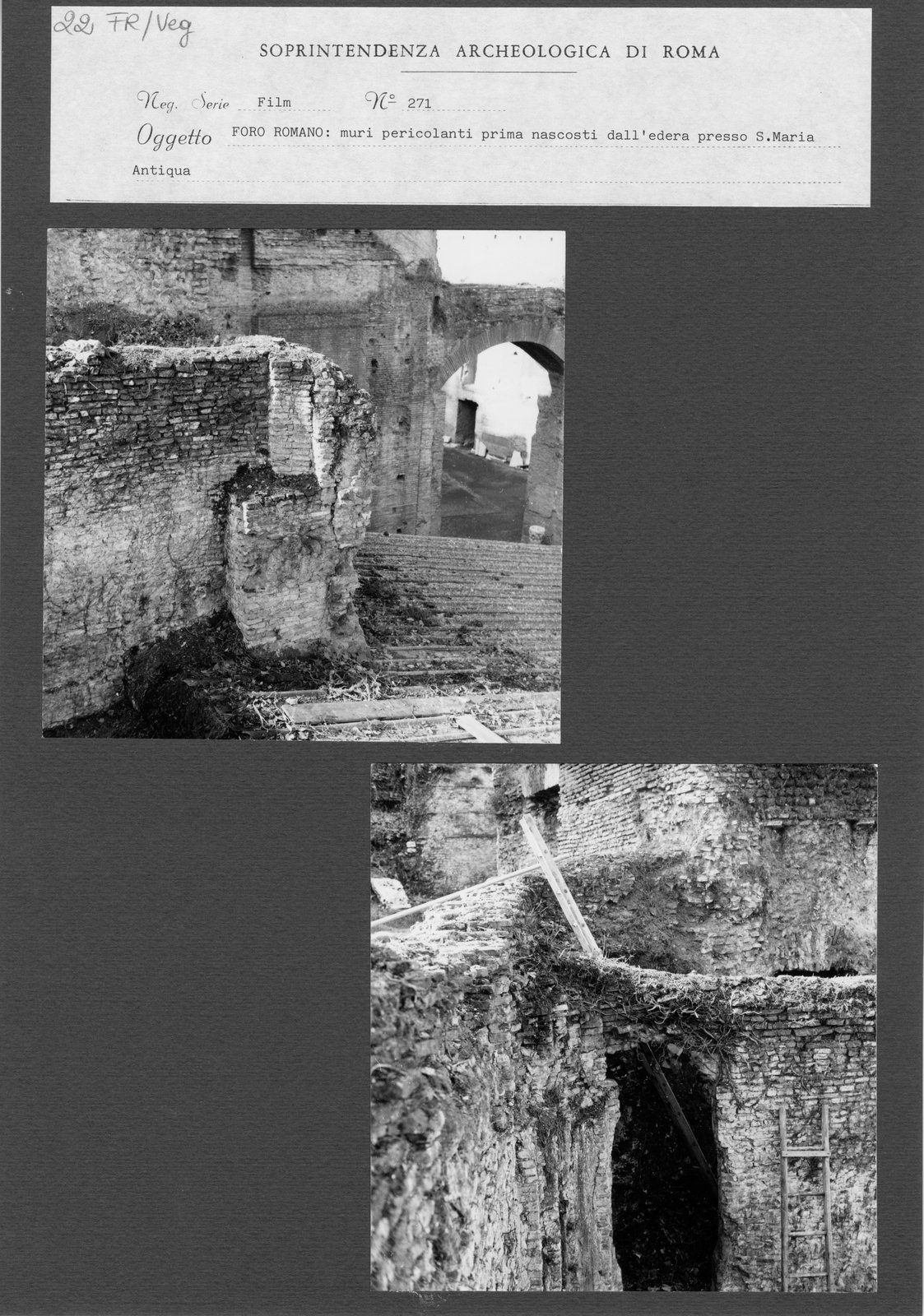 FR-Veg 022.tif