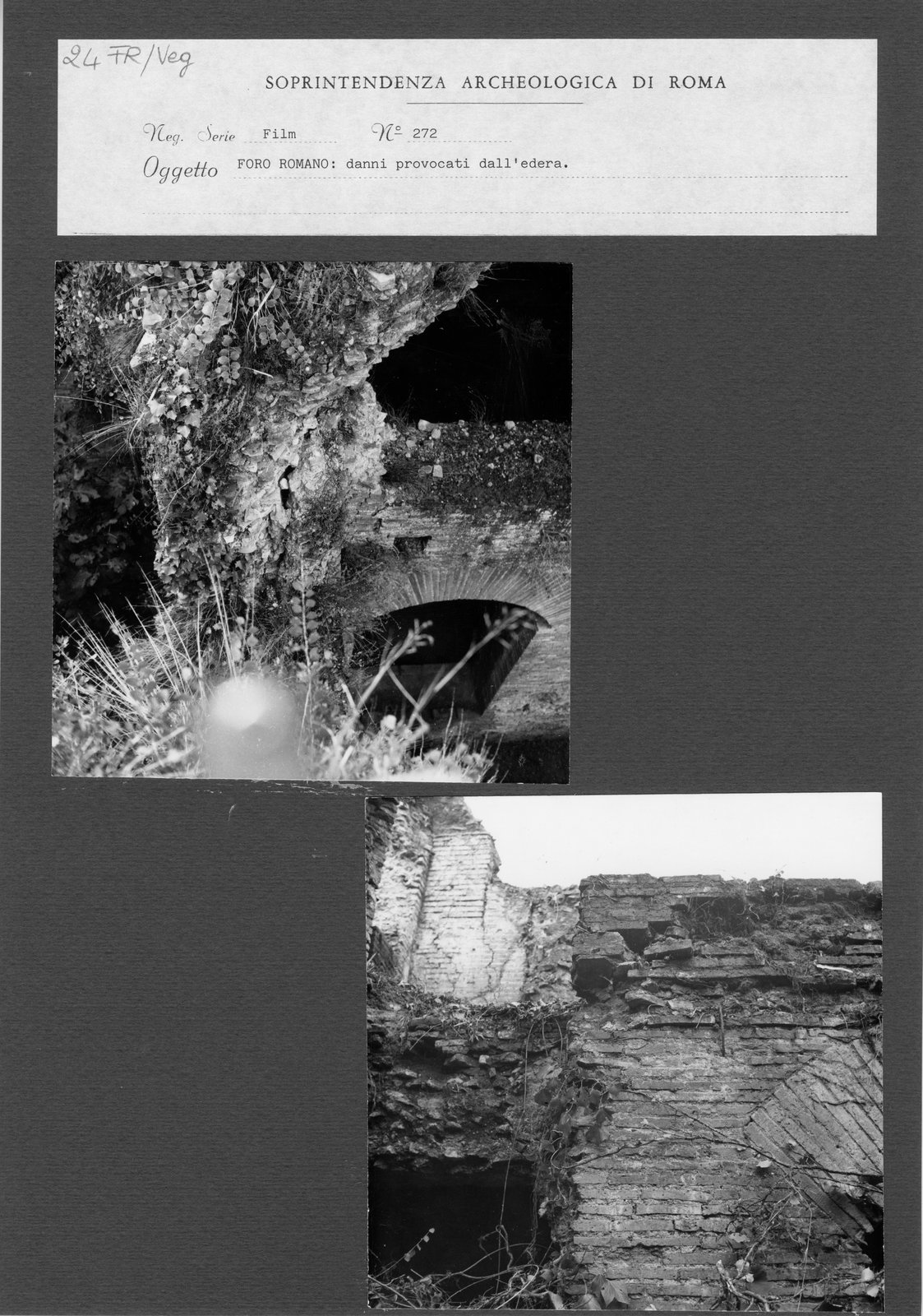 FR-Veg 024.tif