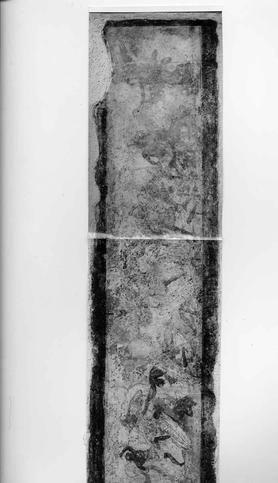 AF - F 114_3.tif