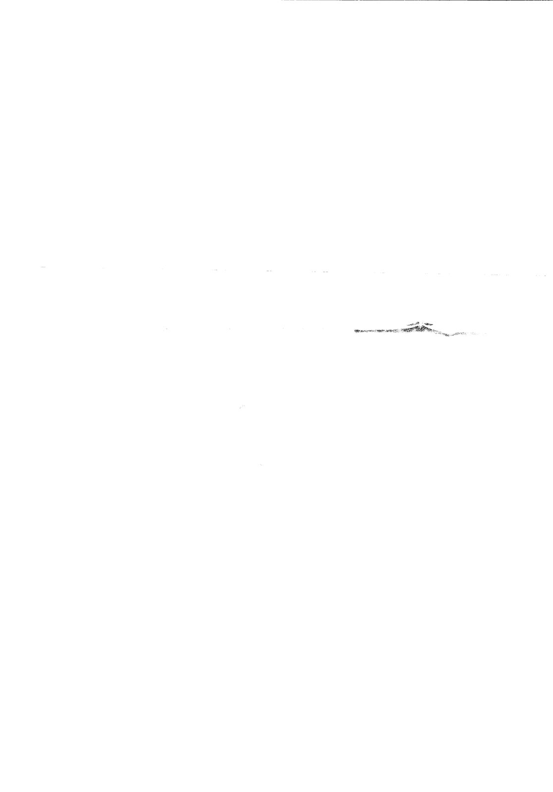 AF-BOA 002.tif