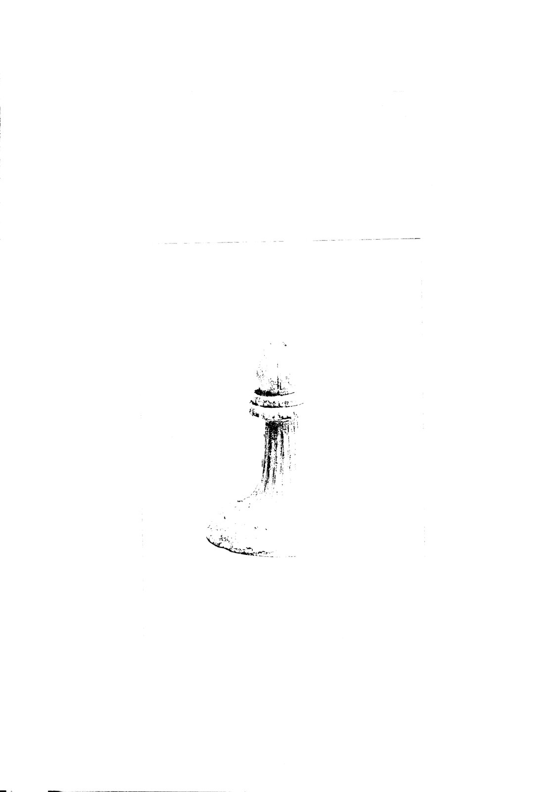 AF-BOA 004.tif