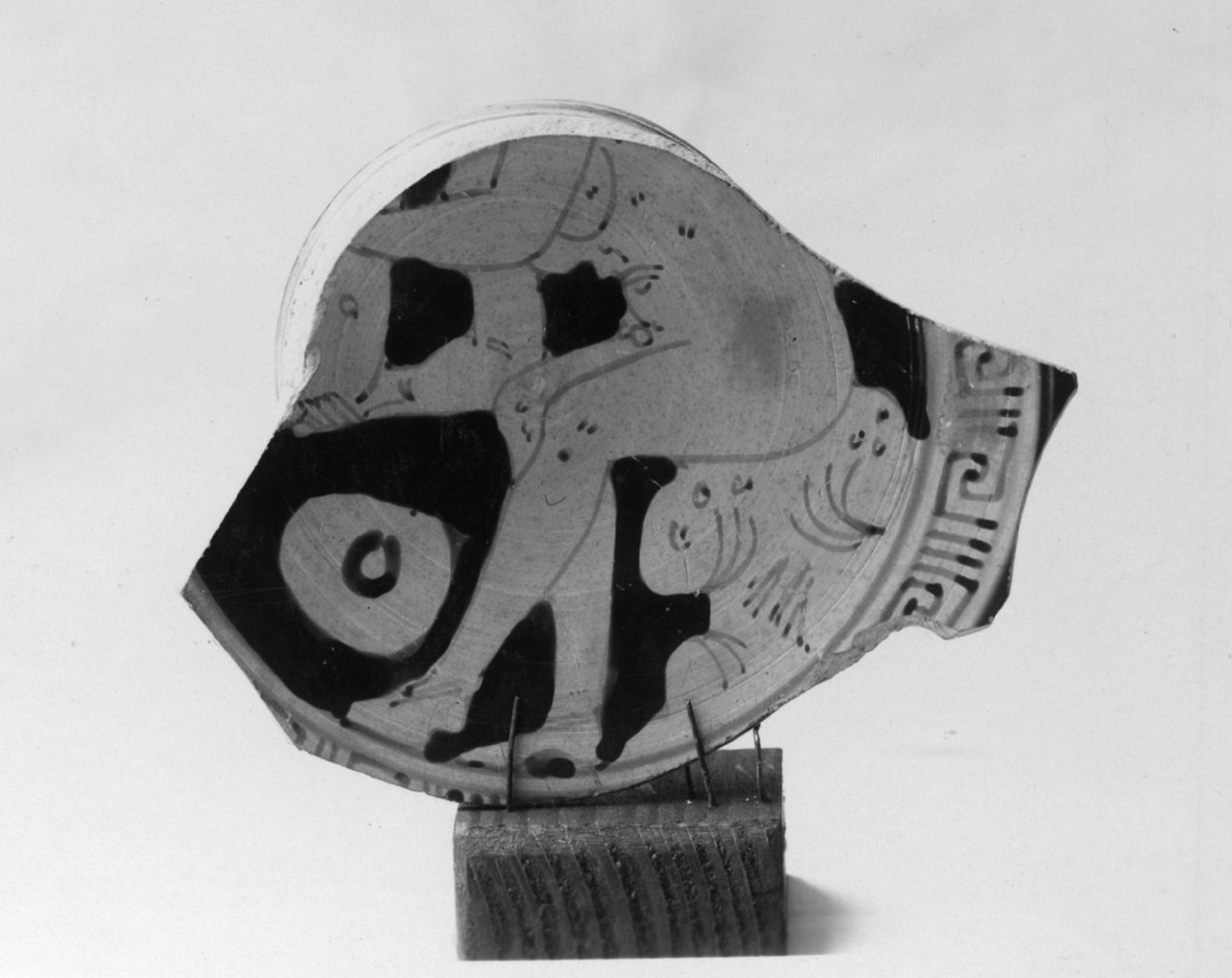 AF-CE 8-asf016923.tif