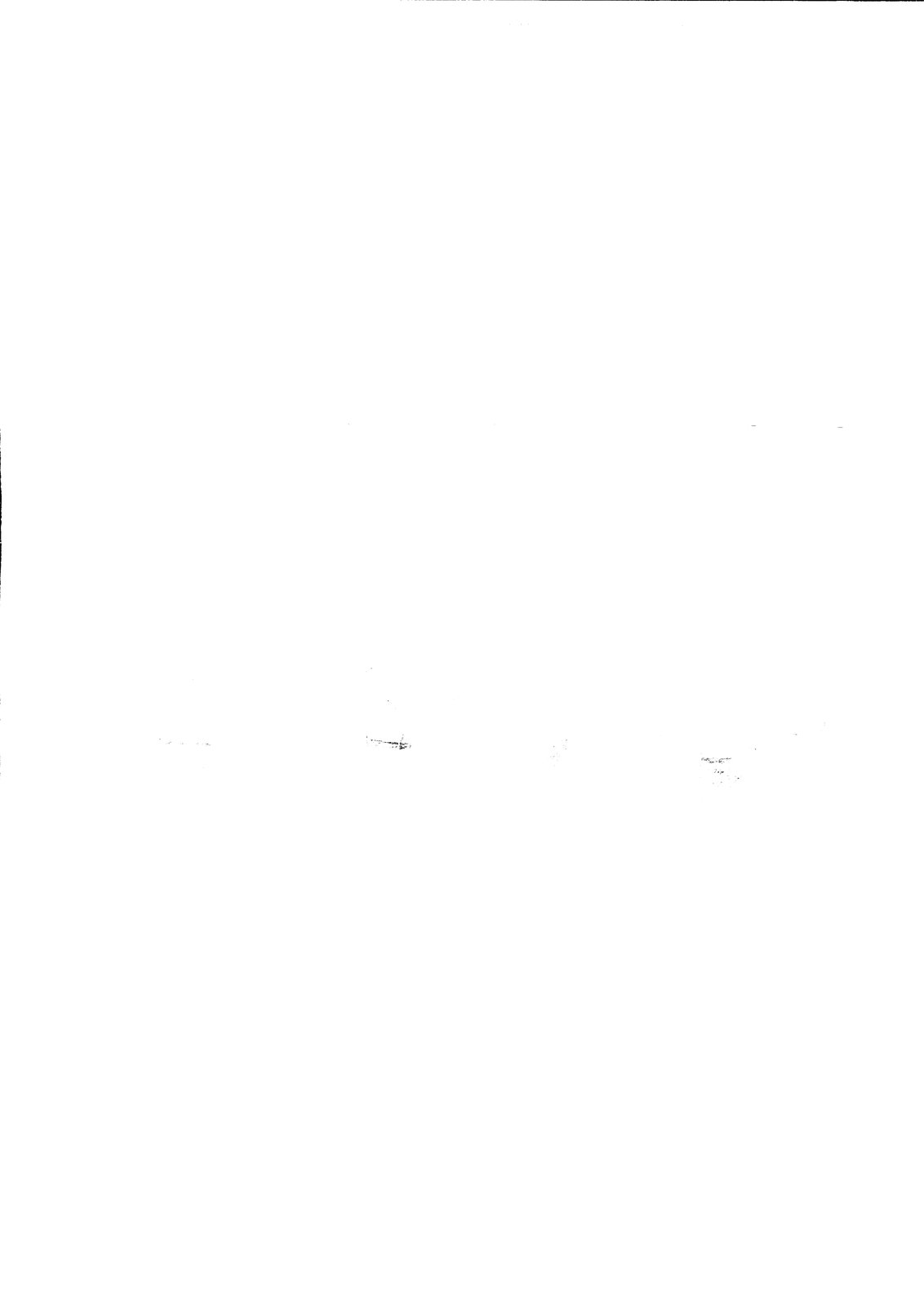 AF-CGE 006.tif