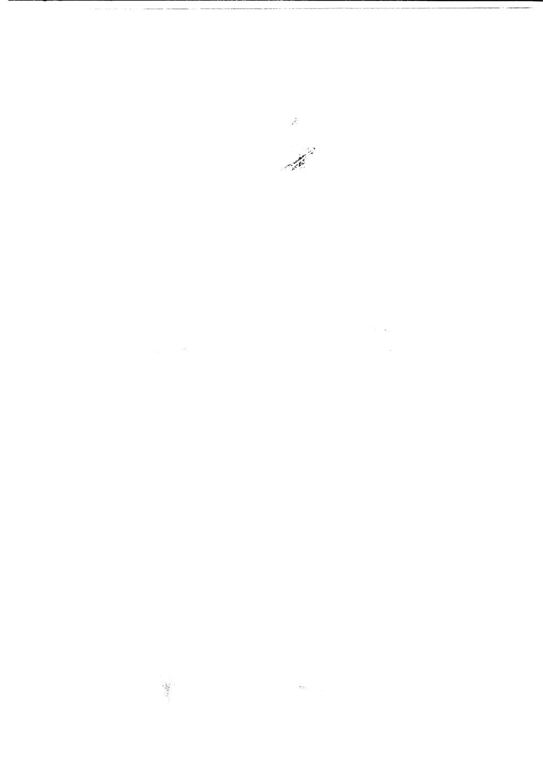 AF-CGE 010.tif