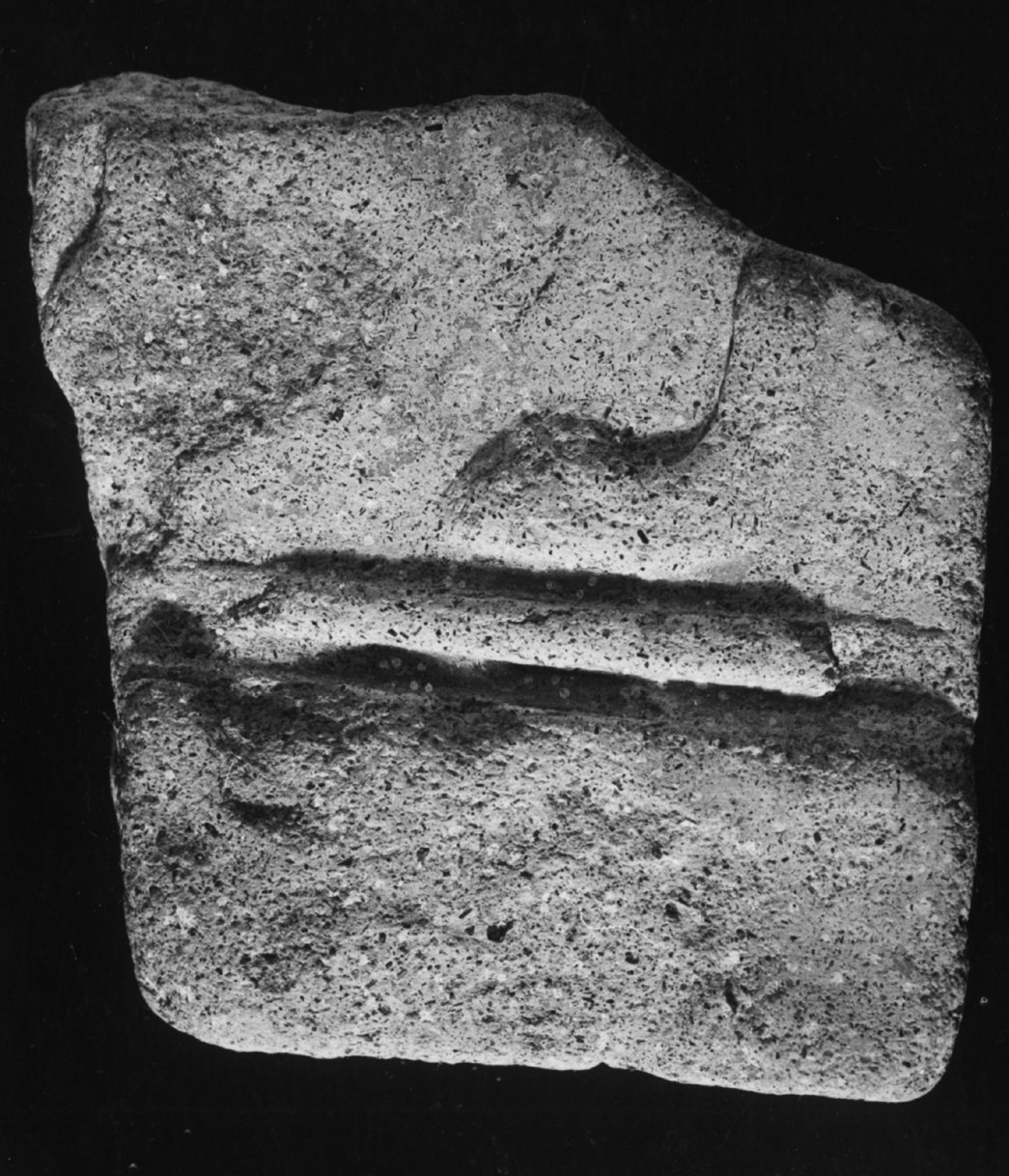 AF-AF 6-asf016823.tif
