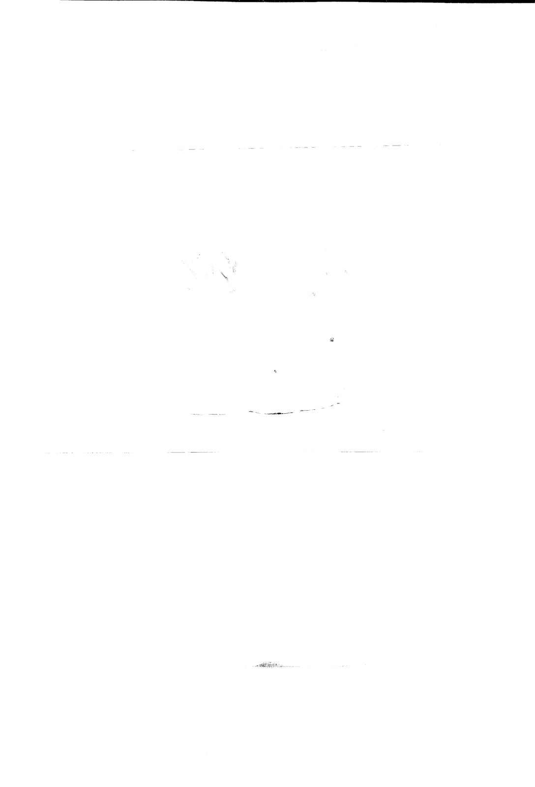 AF-AM 015.tif
