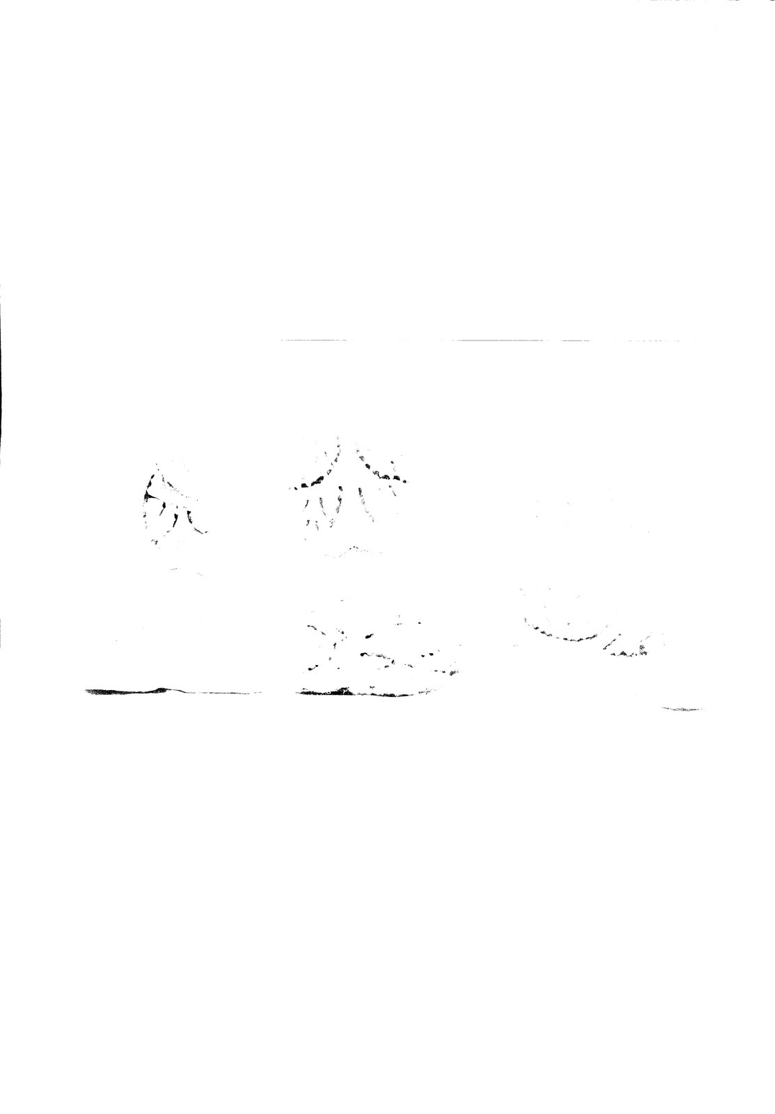 AF-AM 069.tif