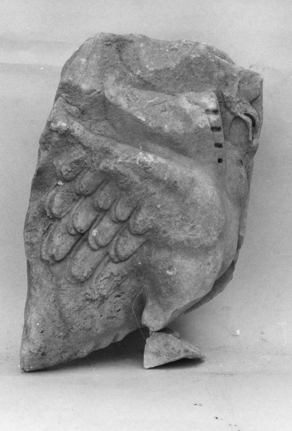 AF-LF 024-asf021904.tif