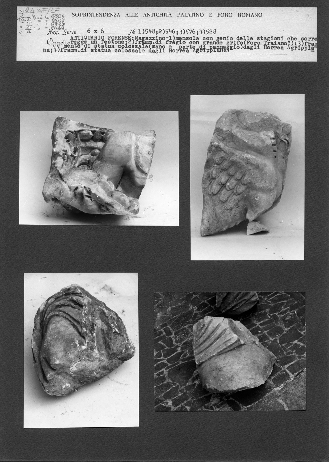 AF-LF 024.tif