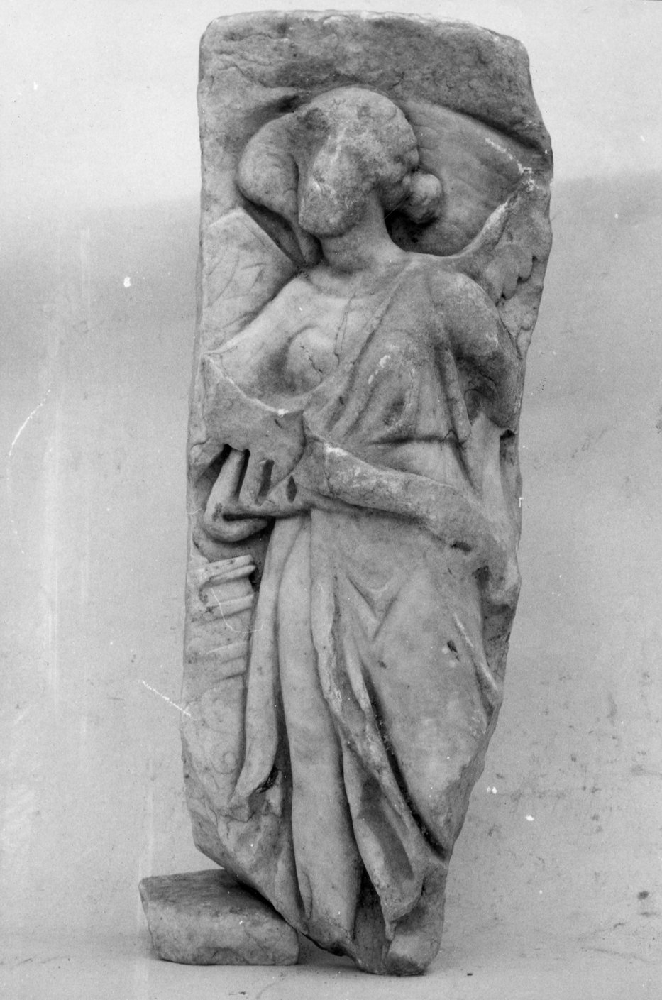 AF-LF 026-asf021912.tif