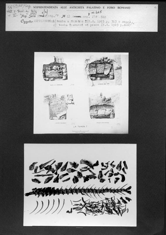49 AF - Sep.tif