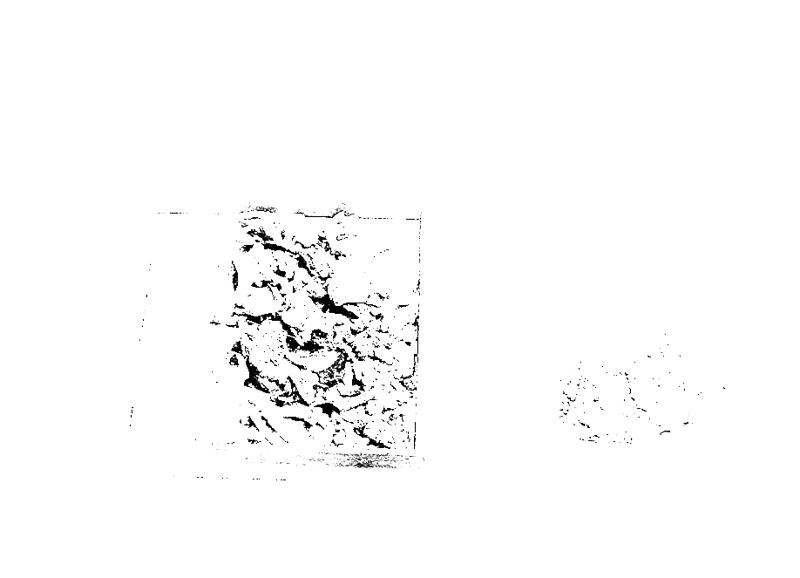 62 AF Sep-asf021066.tif