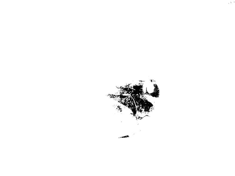 64 AF Sep-asf021068.tif