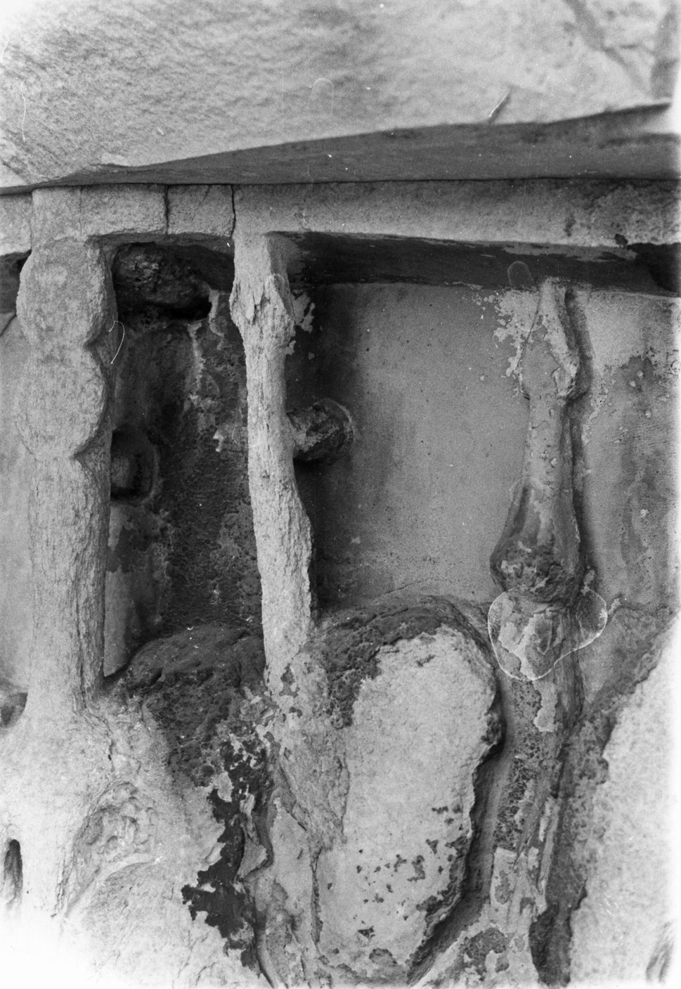 FR-ASS 377-asf022509.tif
