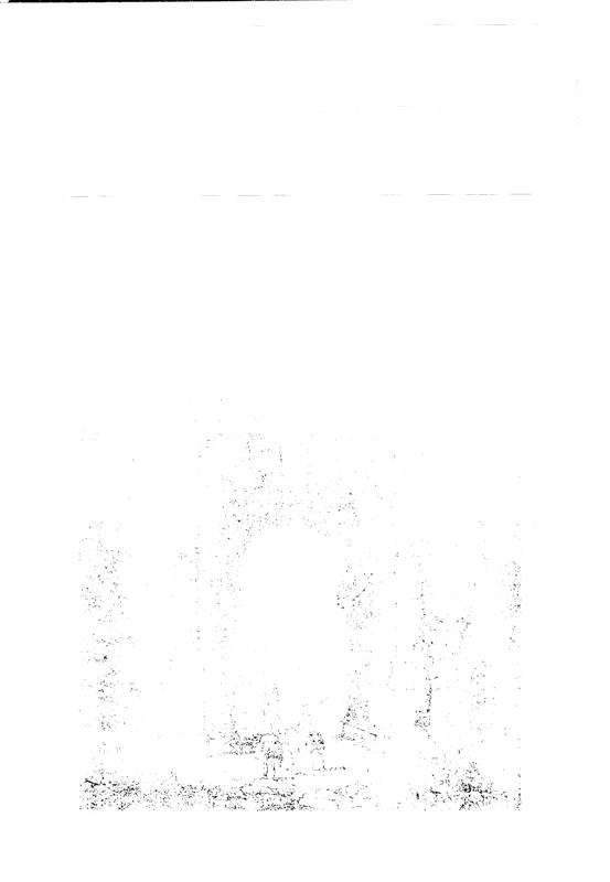 FR-AT-PD 009.tif