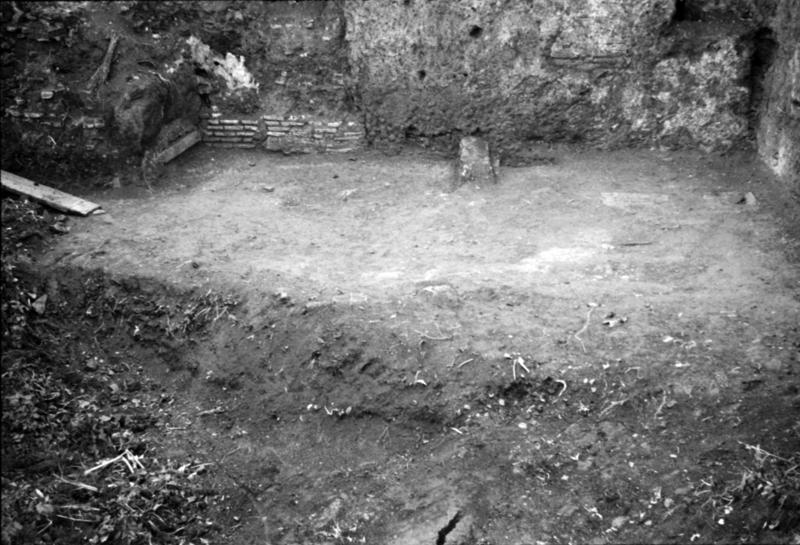 1-00001/ 07643/ 16771 - Roma - Palatino - Germalo