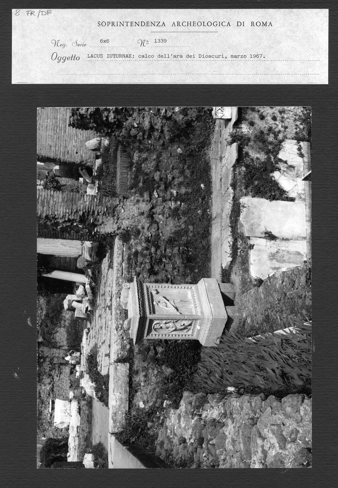 8 FR-DF.tif