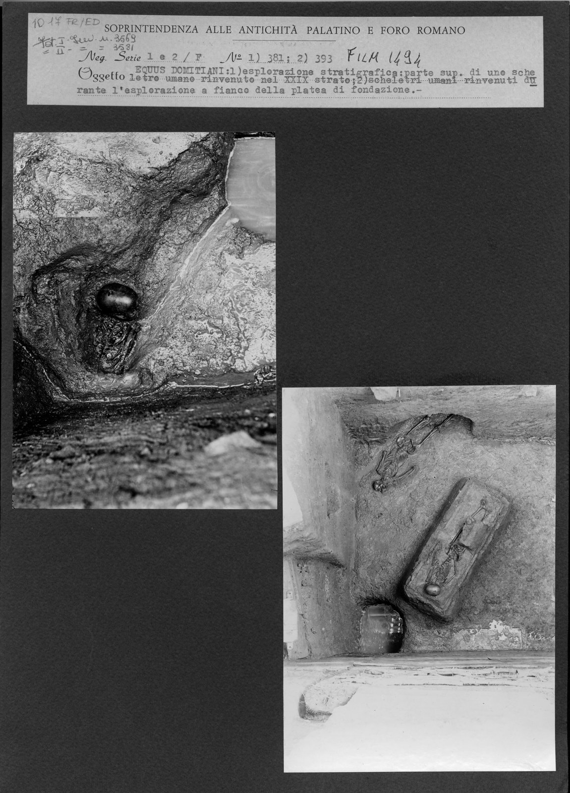 17 FR-ED.tif