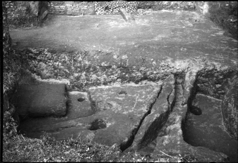 1-00001/ 07643/ 16771 - Roma - Palatino - Germalo