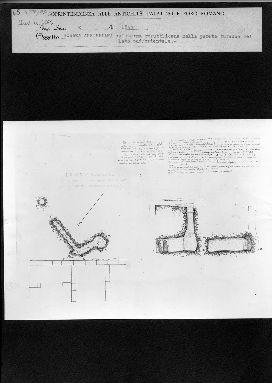 4 FR-HA.tif