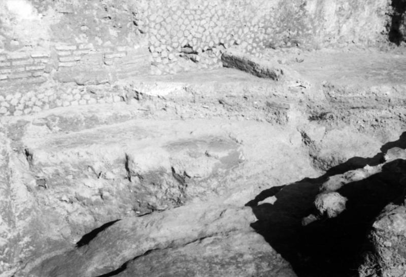1-00001/ 07643/ 16771 - Roma - Palatino - Germalo