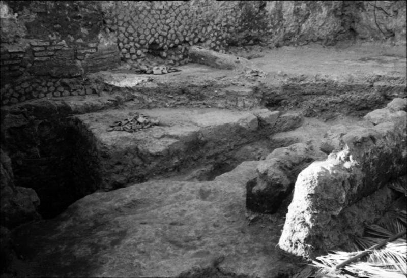 1-00001/ 07643/ 16771 - Roma - Palatino - Germalo