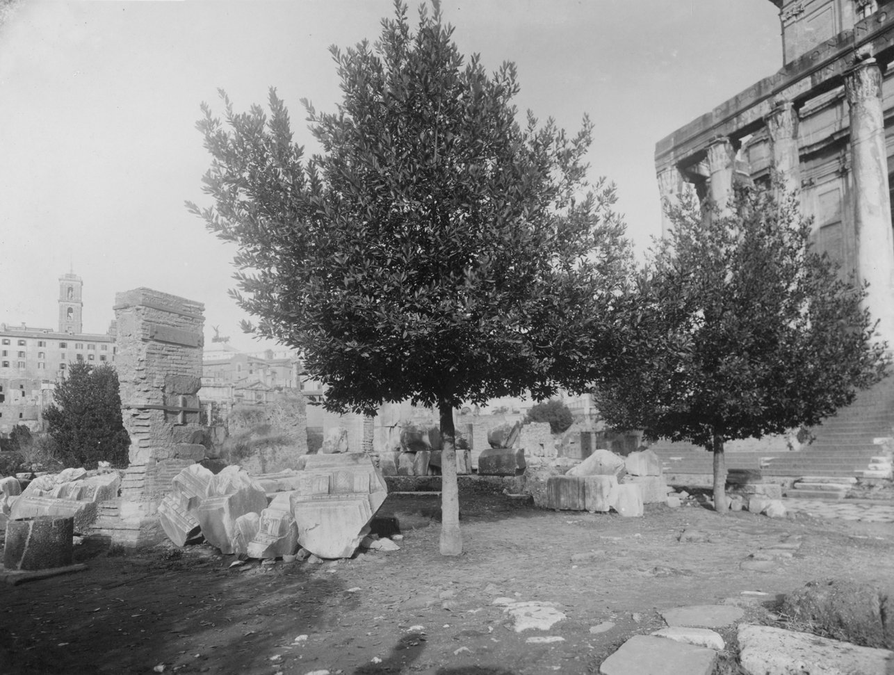 FR-R 24-asf016103.tif