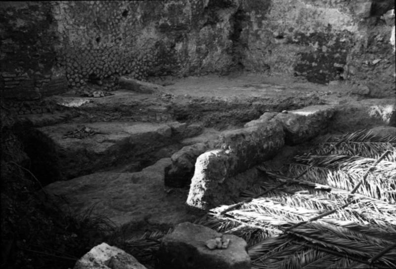 1-00001/ 07643/ 16771 - Roma - Palatino - Germalo